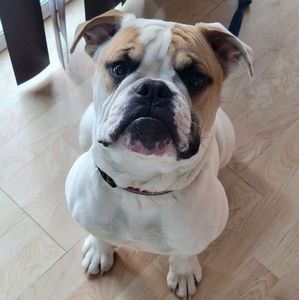 Meet your Posher, Danny